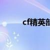 cf精英部队有什么属性（cf精英）