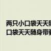 两只小口袋天天随身带要是少一只就把人笑坏迷底（两只小口袋天天随身带要是少一只就把人笑坏）