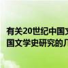 有关20世纪中国文学史研究的几个问题（关于有关20世纪中国文学史研究的几个问题介绍）