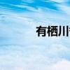 有栖川誉（关于有栖川誉介绍）