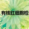 有核红细胞检查（关于有核红细胞检查介绍）