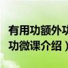 有用功额外功总功微课（关于有用功额外功总功微课介绍）