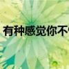 有种感觉你不懂（关于有种感觉你不懂介绍）