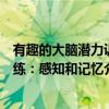 有趣的大脑潜力训练：感知和记忆（关于有趣的大脑潜力训练：感知和记忆介绍）