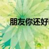 朋友你还好吗（关于朋友你还好吗介绍）