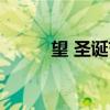 望 圣诞节（关于望 圣诞节介绍）