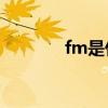 fm是什么认证（FM是什么）