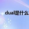 dual是什么意思英语（dual是什么意思）