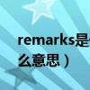 remarks是什么意思啊（“remarks”是什么意思）