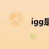 igg是什么挂（IGG是什么）