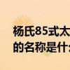 杨氏85式太极拳拳谱名称（二十四式太极拳的名称是什么）