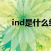 ind是什么缩写（IND解释是什么意思）