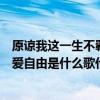 原谅我这一生不羁放纵爱自由歌名（原谅我这一生不羁放纵爱自由是什么歌什么歌曲的歌词）