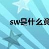 sw是什么意思性取向（SW是什么意思）