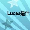 Lucas是什么意思（LUCA是什么意思）