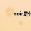 noir是什么颜色（noir什么意思）