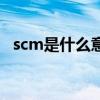 scm是什么意思车上的（scm是什么意思）