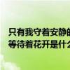 只有我守着安静的沙漠歌词求歌名（只有我守着安静的沙漠等待着花开是什么歌的歌词）