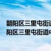 朝阳区三里屯街道中纺里社区管城理市志愿服务队（关于朝阳区三里屯街道中纺里社区管城理市志愿服务队介绍）