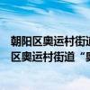 朝阳区奥运村街道“奥之光”残障志愿者服务队（关于朝阳区奥运村街道“奥之光”残障志愿者服务队介绍）