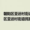 朝阳区亚运村街道民族园社区青年志愿者服务队（关于朝阳区亚运村街道民族园社区青年志愿者服务队介绍）