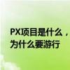 PX项目是什么，会有什么危害上海金山要建px项目市民又为什么要游行