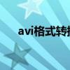 avi格式转换器（avi转rm格式转换器）