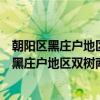 朝阳区黑庄户地区双树南村青年志愿者服务队（关于朝阳区黑庄户地区双树南村青年志愿者服务队介绍）