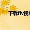 下载flv视频（怎么用FLV视频探测器）