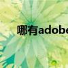 哪有adobe premiere 2.0 的网络教材