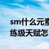 sm什么元素（魔兽世界 2.4.3版本 元素SM练级天赋怎么加）