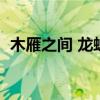 木雁之间 龙蛇之变（突然之间什么都变了）