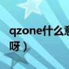 qzone什么意思中文（qzone5.0 是什么意思呀）