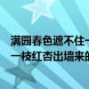 满园春色遮不住一枝红杏出墙来是什么花（满园春色关不住一枝红杏出墙来的意思是什么）