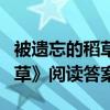 被遗忘的稻草阅读答案语文网（《被遗忘的稻草》阅读答案）