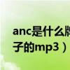 anc是什么牌子的耳机（ANECA这是什么牌子的mp3）