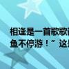 相逢是一首歌歌词（有一首歌词叫“一天到晚游泳的鱼啊~鱼不停游！”这是出自哪首歌）