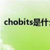 chobits是什么东西（Chobits是什么意思）