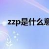 zzp是什么意思中文（ZZP是什么品牌吗）