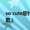 so cute是什么意思（so tm what是什么意思）