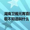 湖南卫视元宵喜乐会（湖南卫视2010元宵喜乐会 里有一首歌不知道叫什么）