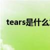 tears是什么意思中文（tears是什么意思）