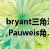 bryant三角示意图（Bryant三角,Neiaton线,Pauweis角.各指什么）