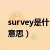 survey是什么意思翻译中文（survey是什么意思）