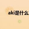 aki是什么意思网名（aki是什么意思）