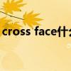 cross face什么意思（crossfire是什么意思）