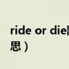 ride or die歌词翻译（ride or die 是什么意思）