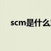 scm是什么意思骂人（scm是什么意思）