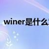 winer是什么意思英语（winer是什么意思）