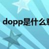 dopp是什么意思（DOP是什么有什么用途）